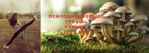 гидропоника Арсеньев