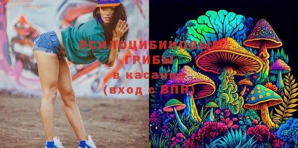 гидропоника Арсеньев
